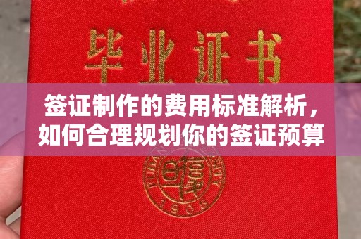 榆社签证制作的费用标准解析，如何合理规划你的签证预算